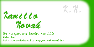 kamillo novak business card